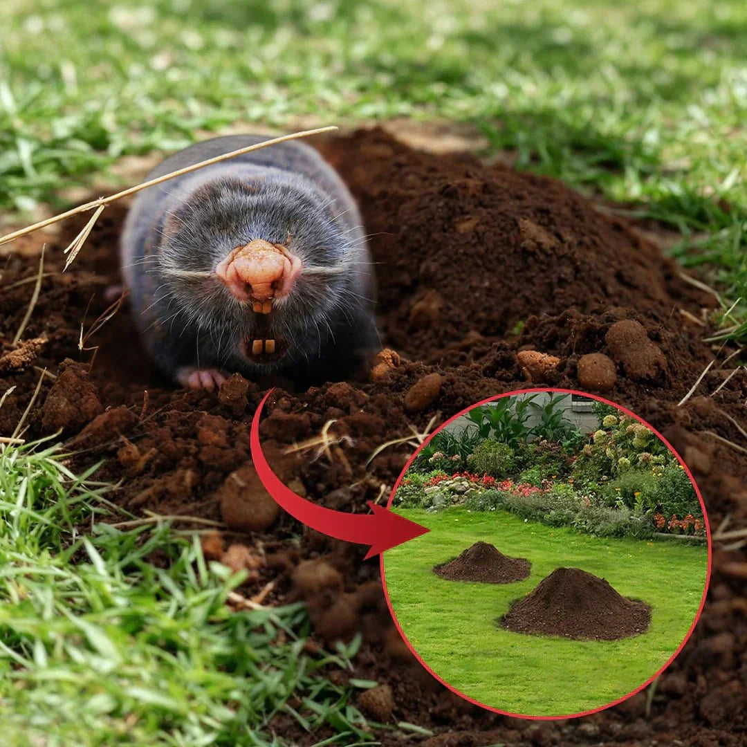 Gardener's Ally: POLAFLEX Mole Traps Protect Your Garden - POLAFLEX
