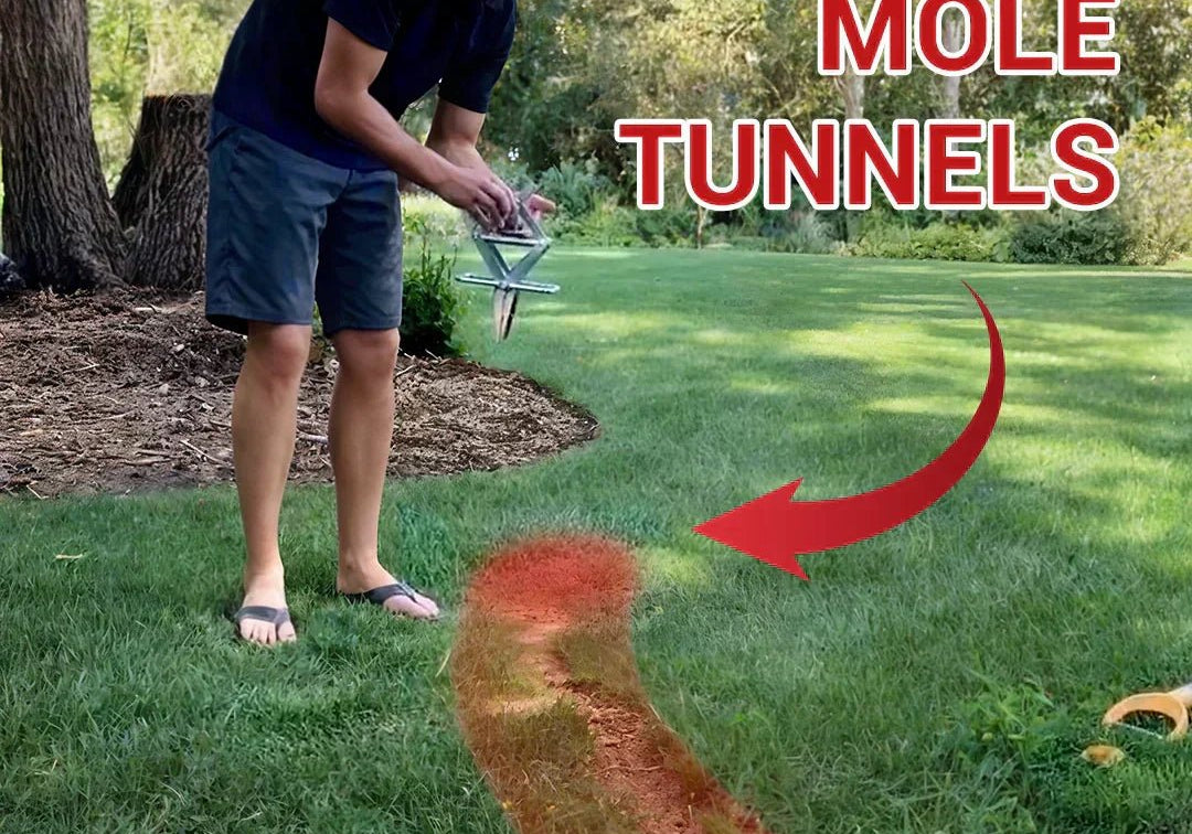 How to Find Active Mole Tunnels: A Simple Guide - POLAFLEX