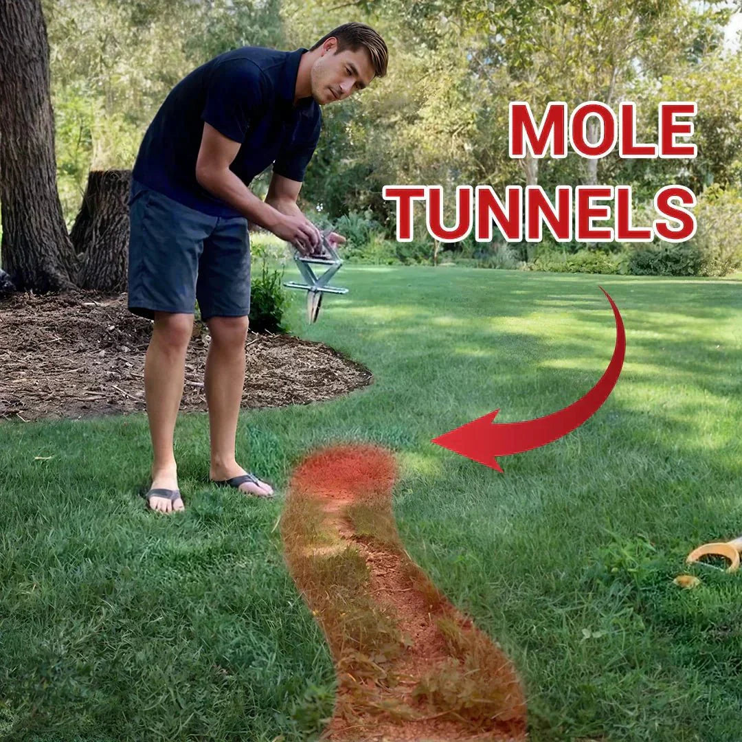 How to Find Active Mole Tunnels: A Simple Guide - POLAFLEX