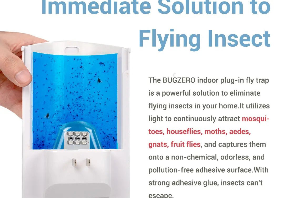 Top 5 Signs You Might Need a Fly Insect Trap at Home - POLAFLEX