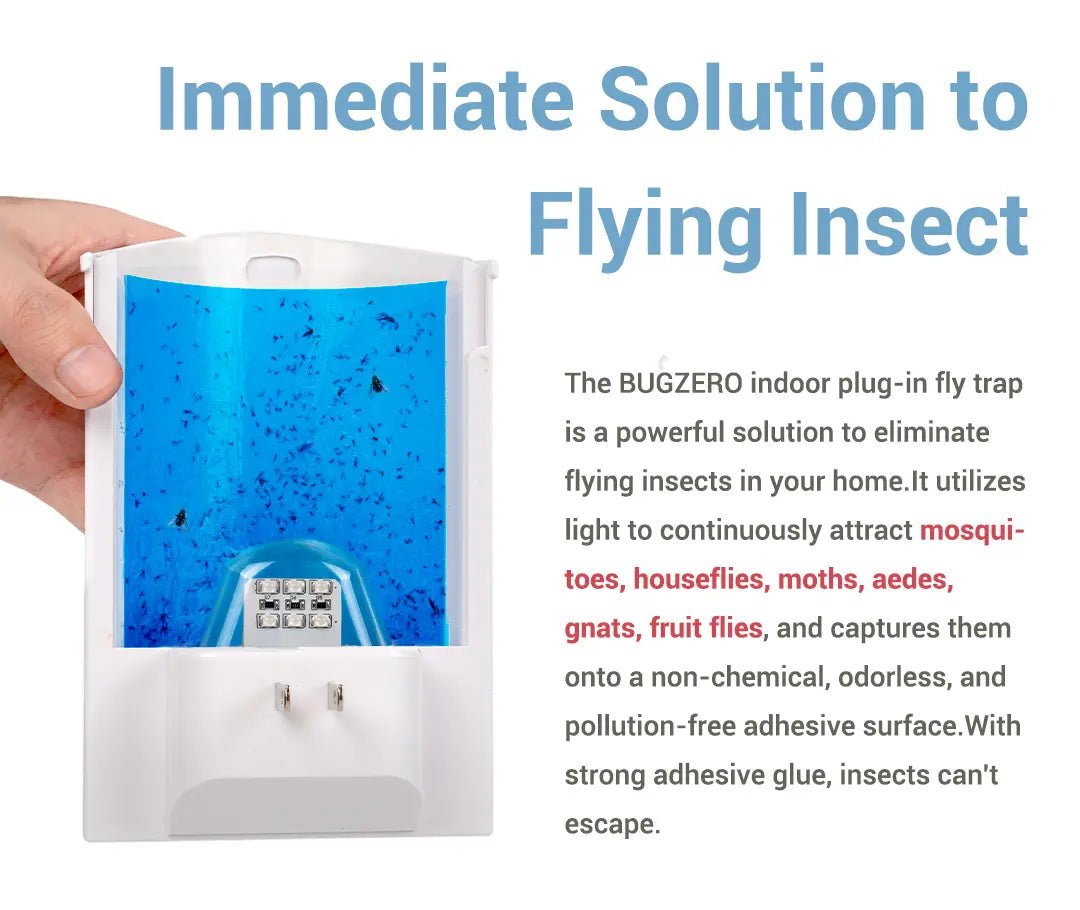 Top 5 Signs You Might Need a Fly Insect Trap at Home - POLAFLEX