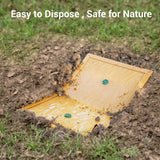 Glue Mouse Traps Indoor - POLAFLEX