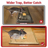 Glue Mouse Traps Indoor