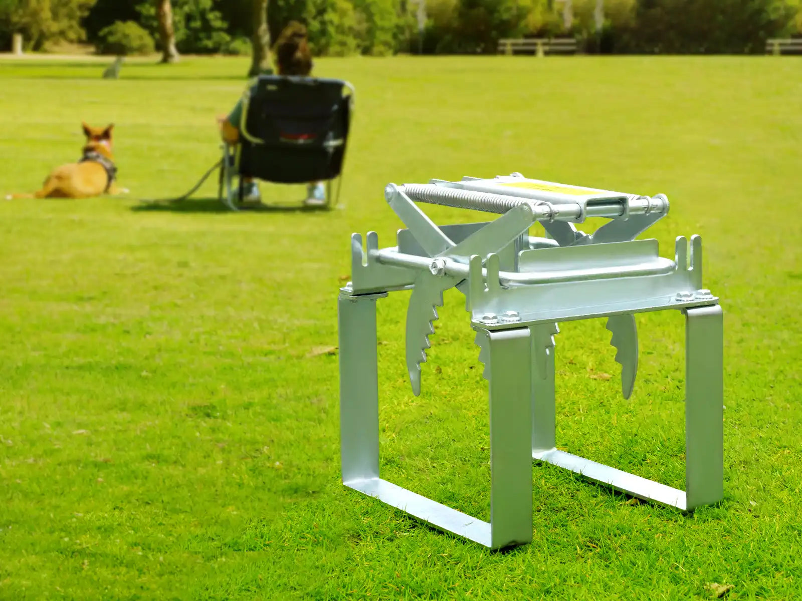 Metallic polaflex mole trap and releaser on grass with a person and a dog enjoying in the background