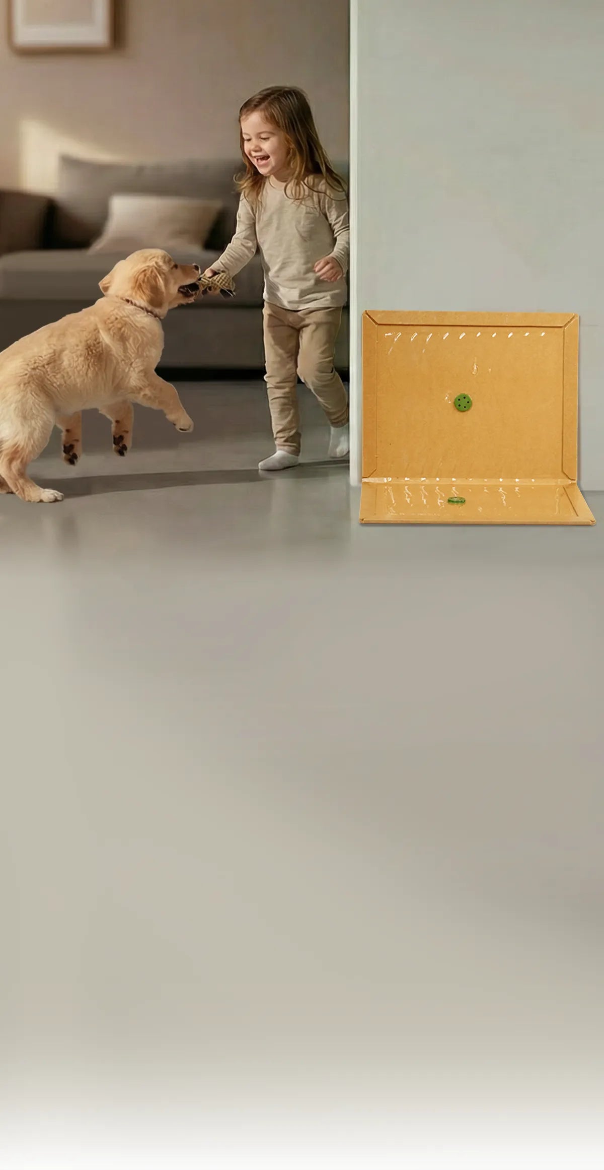 polaflex mouse traps safe for pets and child. Catch mice fast and see results within hours.