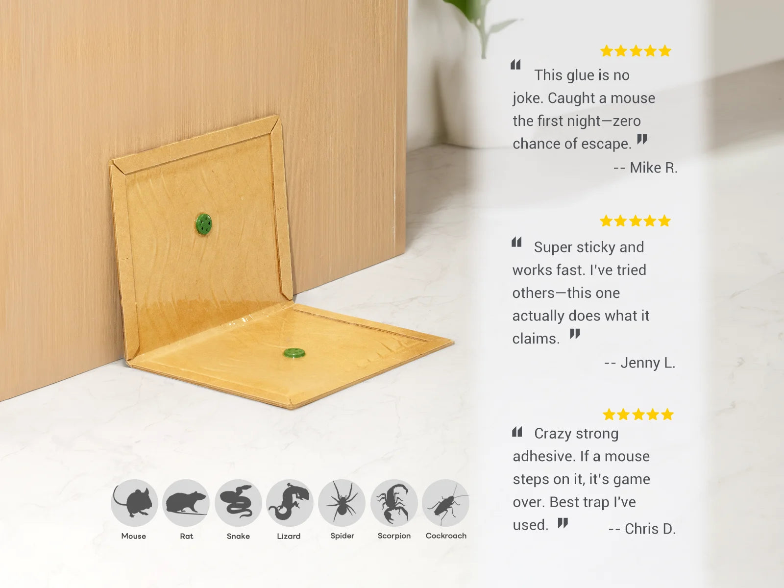 Foldable sticky mouse trap with strong glue for catching mice, rats, lizards, spiders, and cockroaches