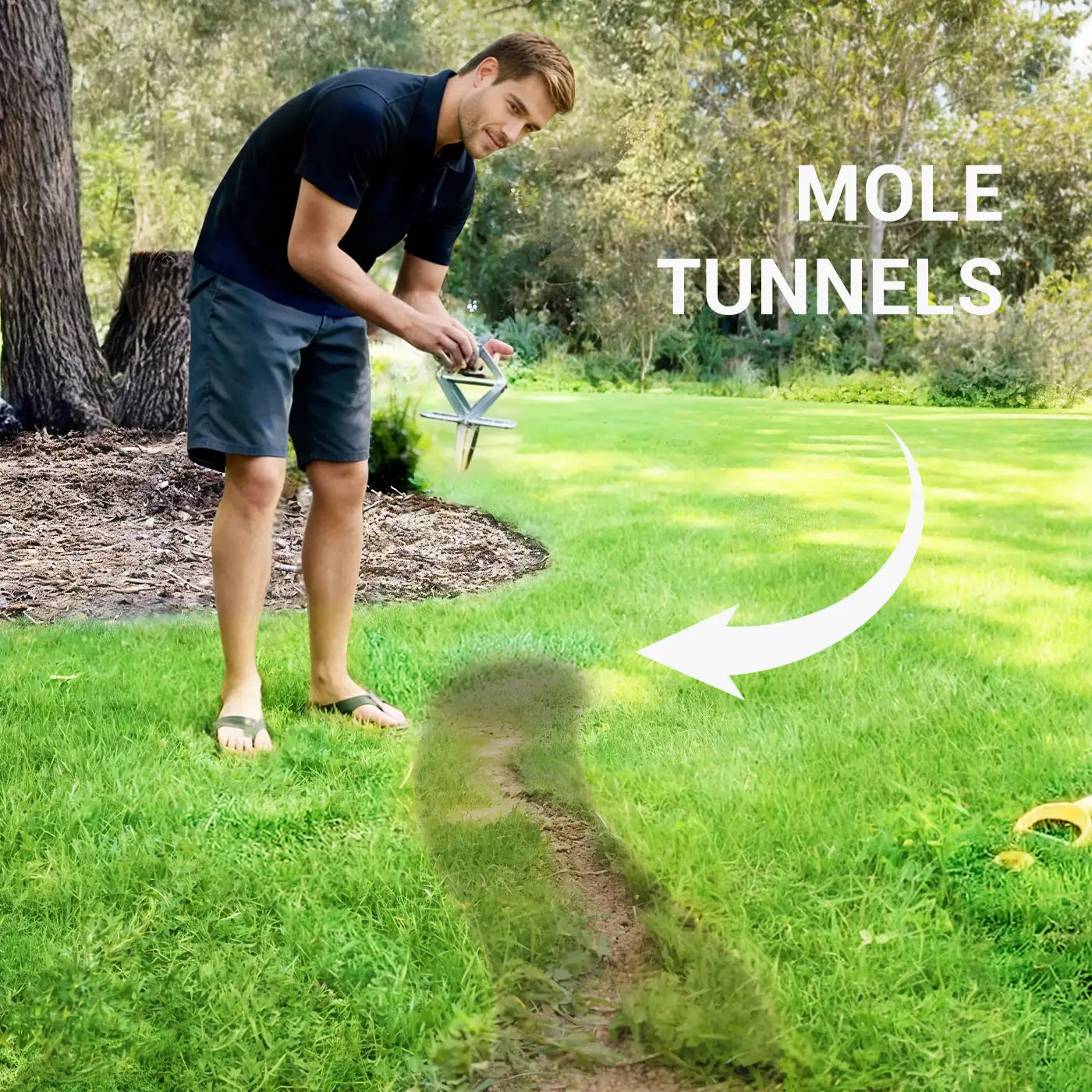 How_to_Find_Active_Mole_Tunnels