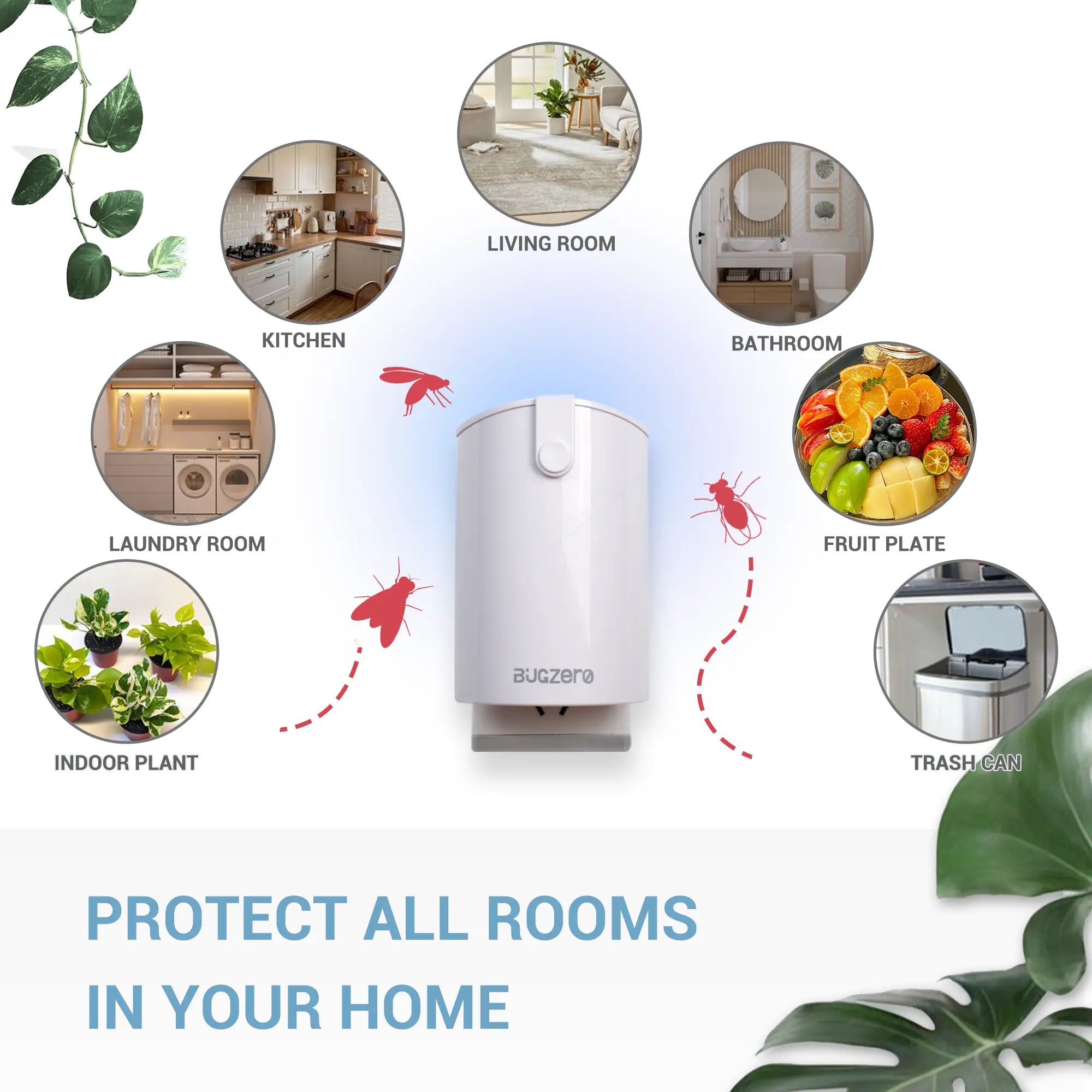 use bugzero trap protect all rooms in your home