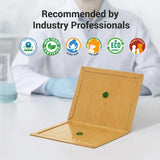 Glue Mouse Traps Indoor - POLAFLEX