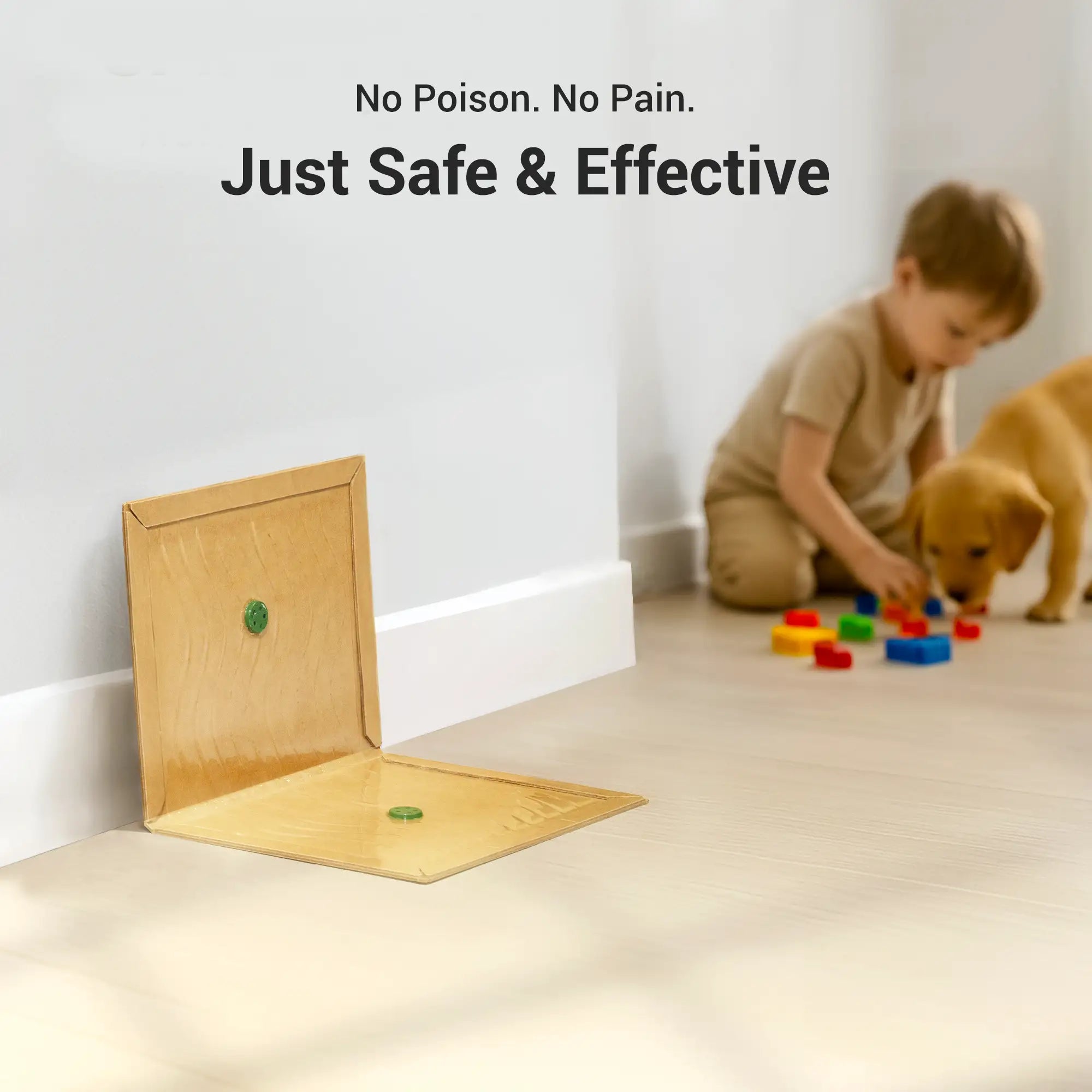 Glue Mouse Traps Indoor - POLAFLEX