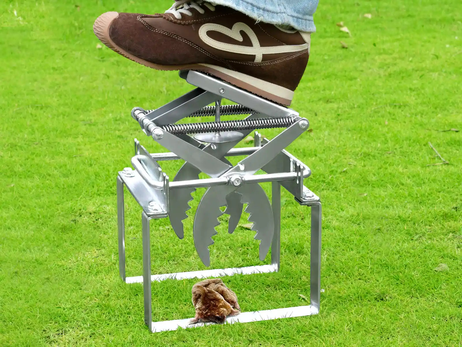 On the grass, a Polaflex mole trap is being released from the releaser, and a mole falls easily.