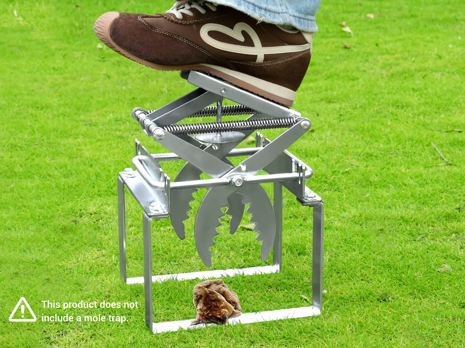 On the grass, a Polaflex mole trap is being released from the releaser, and a mole falls easily.