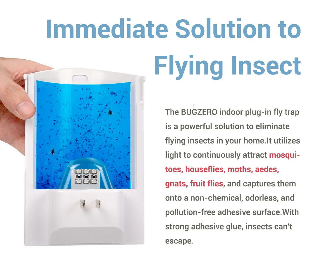 immediate solution to flying insect
