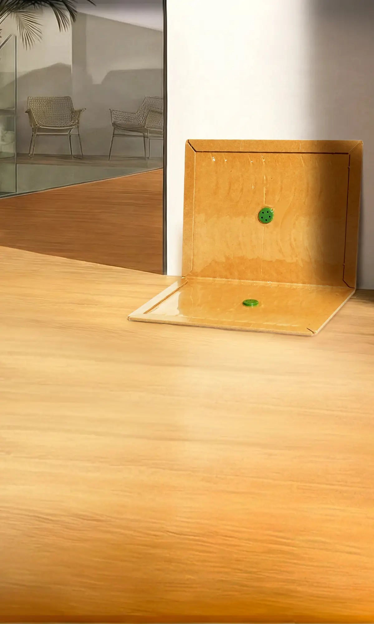 Worry-Free Mouse Trap at Home