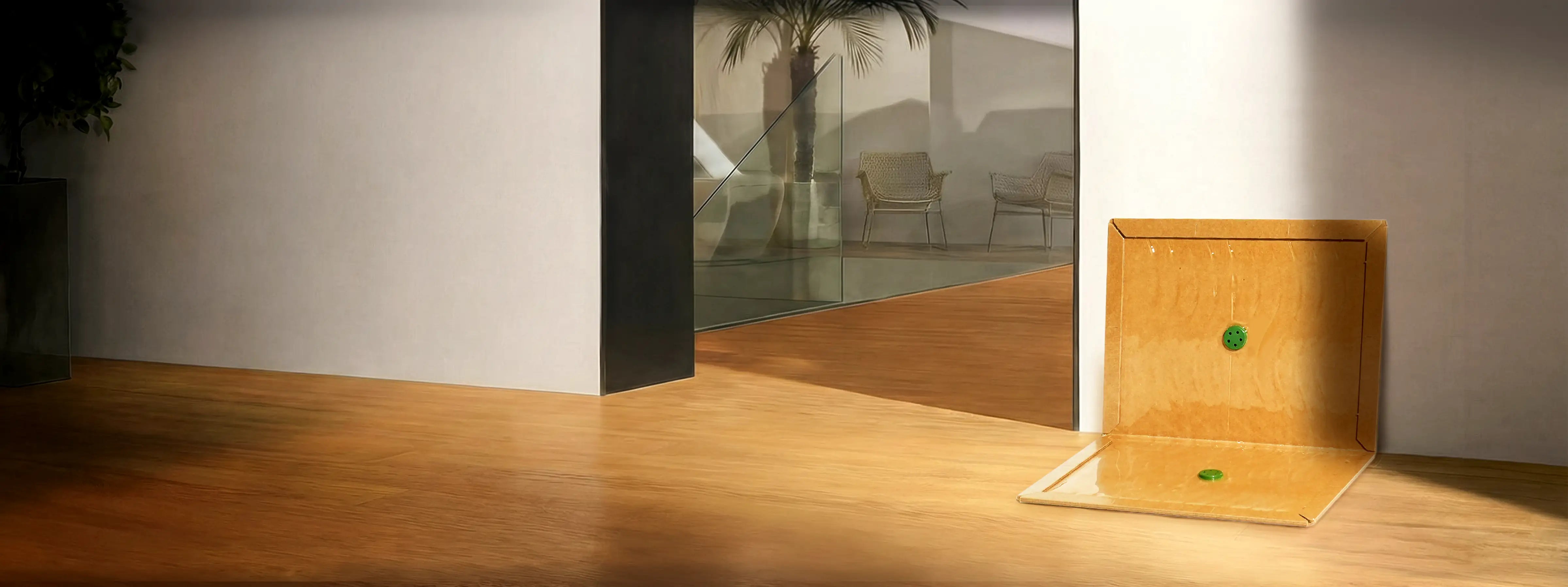 Worry-Free Mouse Trap at Home