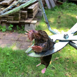 polaflex mole trap catch the mole. best traps for moles