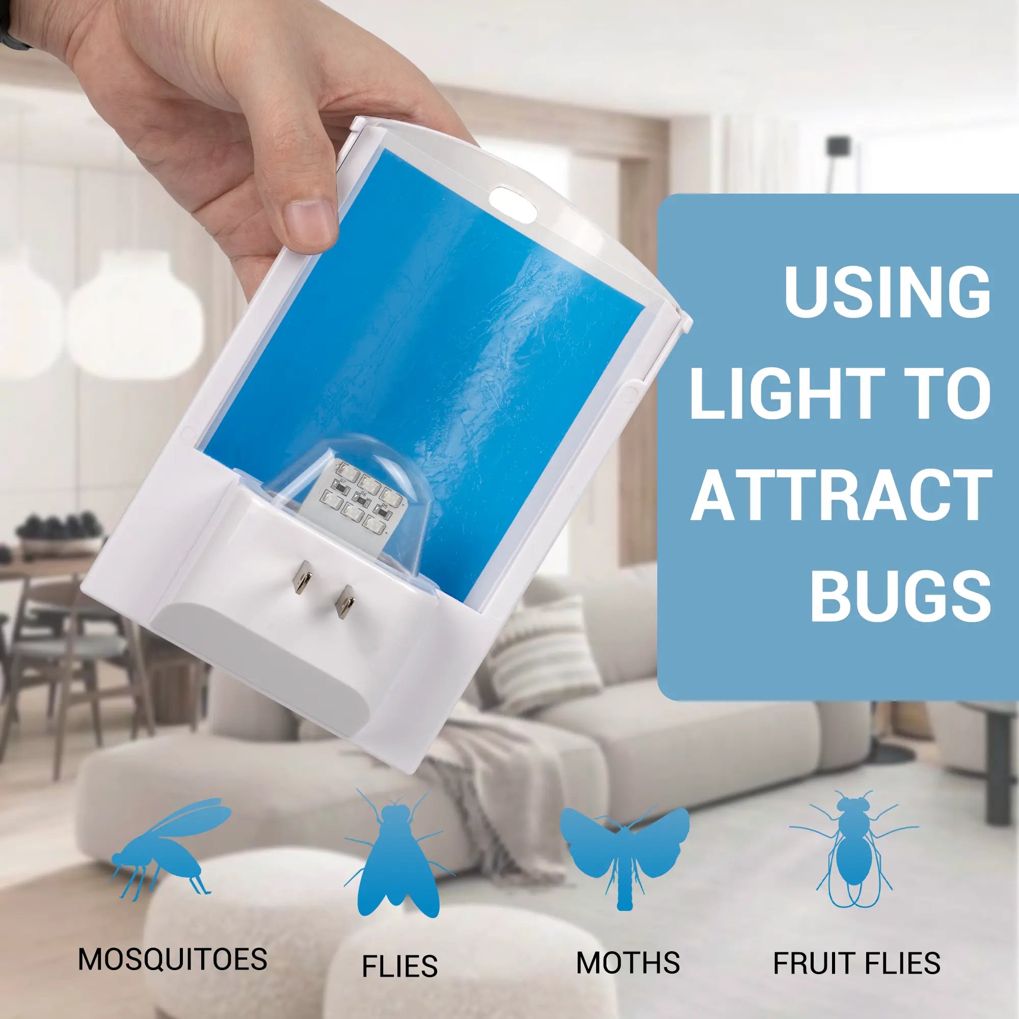 using light to attract bugs. mosquitoes, flies, moths, fruit flies