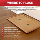 Glue Mouse Traps Indoor